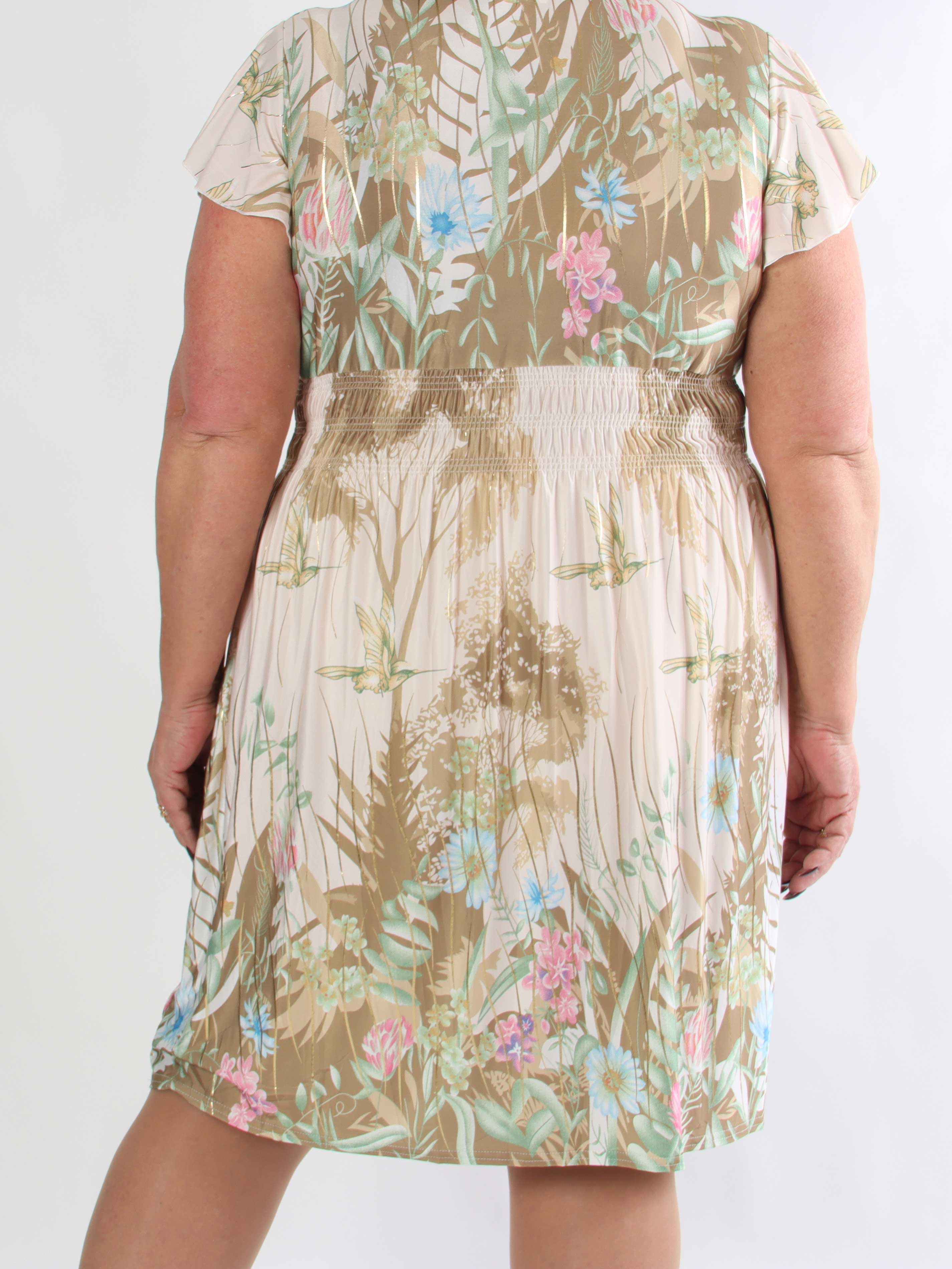Pams Hummingbird Short - Kort plus size kjole med fuglemotiver og guld detaljer