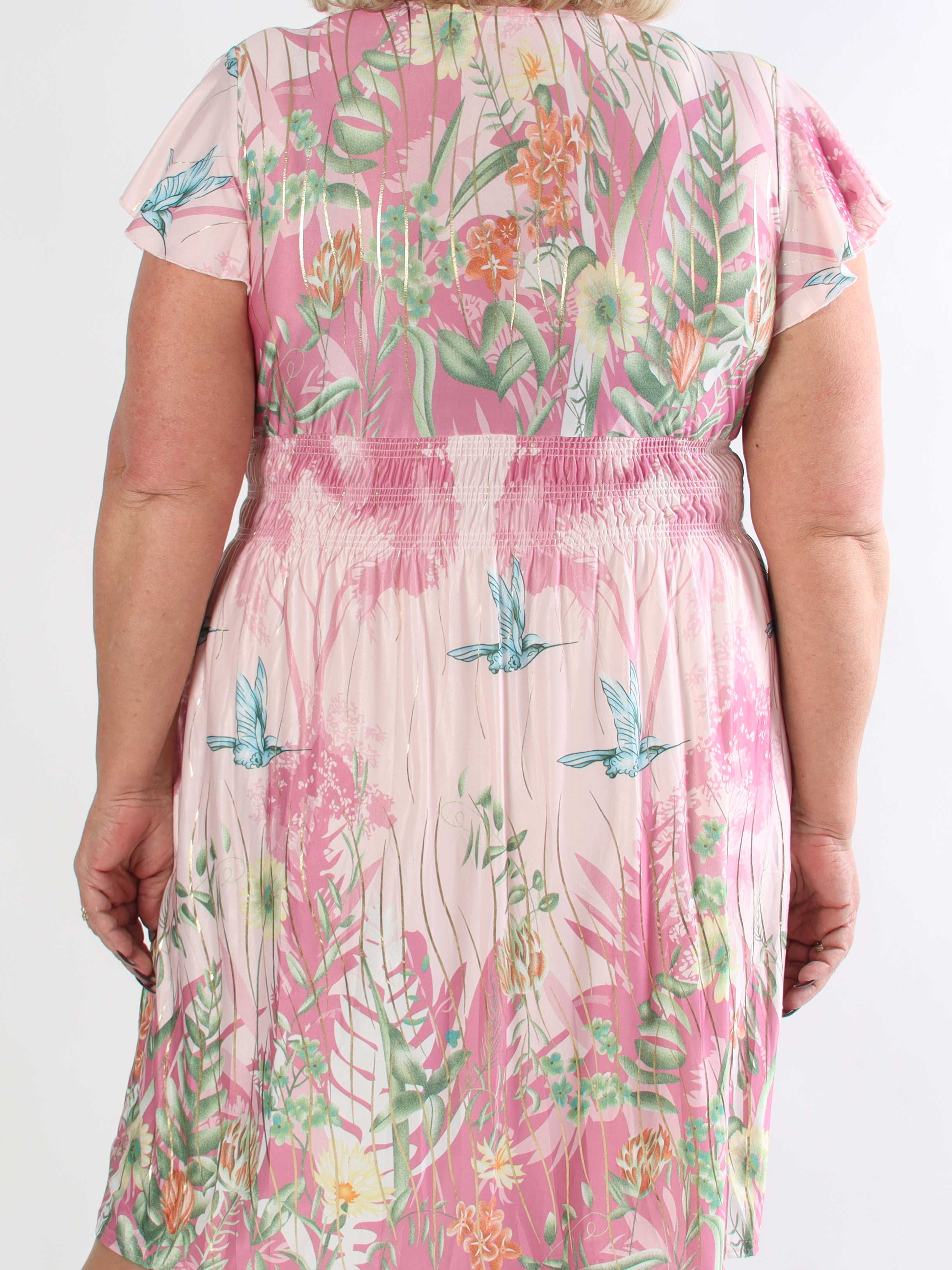 Pams Hummingbird Short - Kort plus size kjole med fuglemotiver og guld detaljer